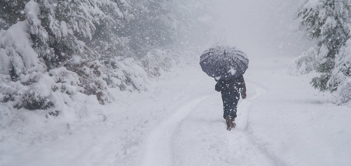 Currently, all facilities have a delayed opening today, January 19, 2024 of 10 a.m.  Know Before You Go, this could change so please check back before traveling to any of our locations.  #fauquiercounty