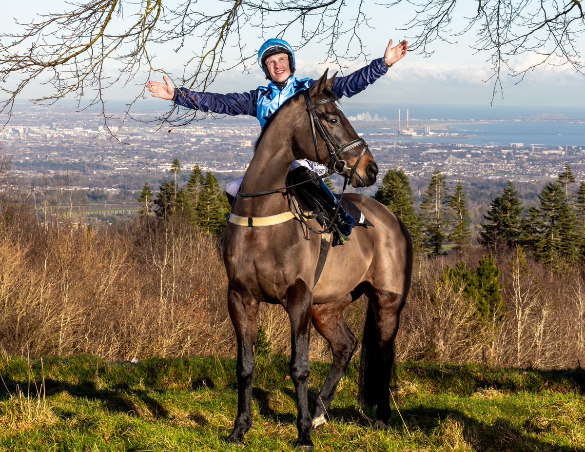 barbaramwhite's tweet photo. The Dublin colours never looked so good 💙 

@PTownend and #SizingJohn gaze over the capital, ahead of #DublinRacingFestival @LeopardstownRC 

📸 @MorganTreacy 🙌 https://t.co/RXEPhYTXnq