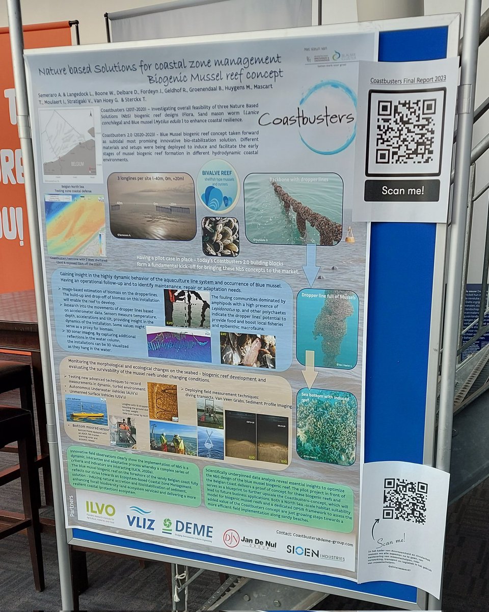 AlexiaSemeraro's tweet photo. Inducing Biogenic musselreefs #Coastbusters present at #schelpdierenconferentie at Neeltje Jans NL 👍 https://t.co/g6I67Qk40h