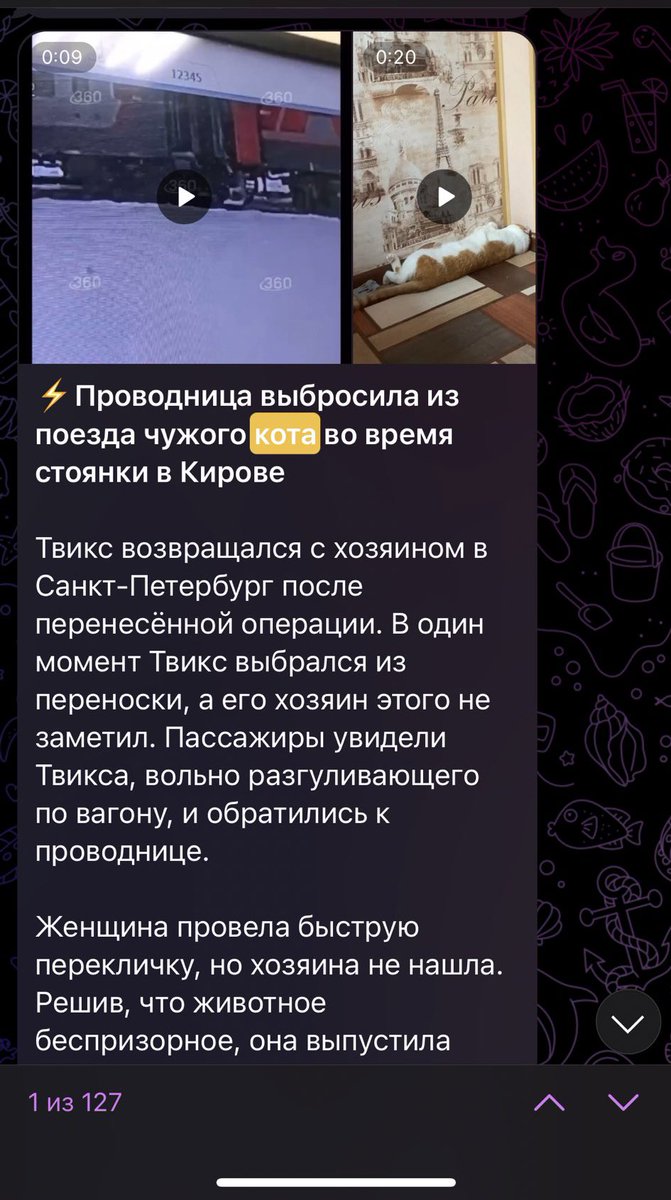 Ребят, сос! Вы наверное уже все видели новость что проводница выкинула кота из поезда, есть группа помощи котику! Завтра начнутся поиски! 

t.me/+-GhTDnFFC19iM…