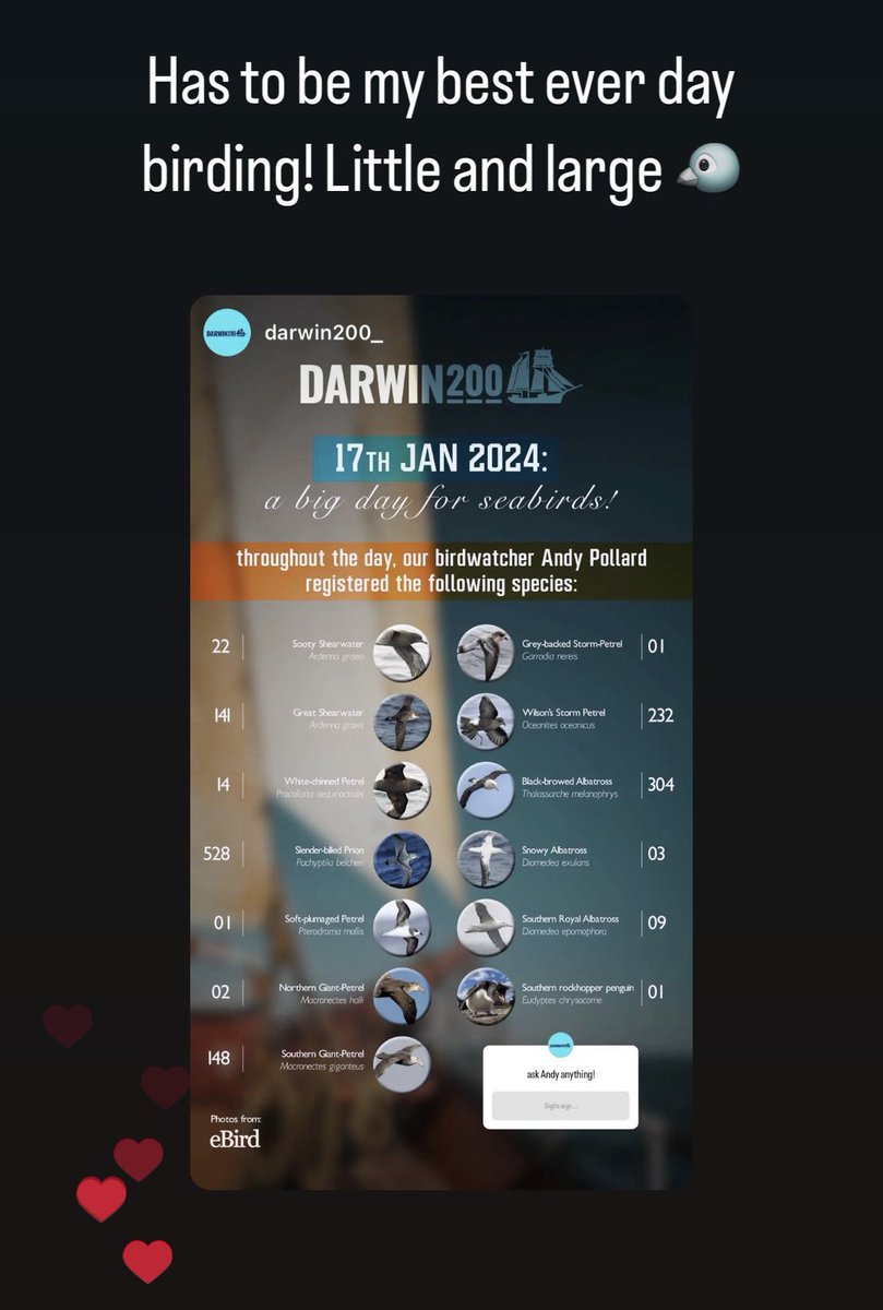 An incredible days birdwatching onboard <a href="/Oosterscheldenl/">Oosterschelde</a> with <a href="/darwin200_/">Darwin200</a>
