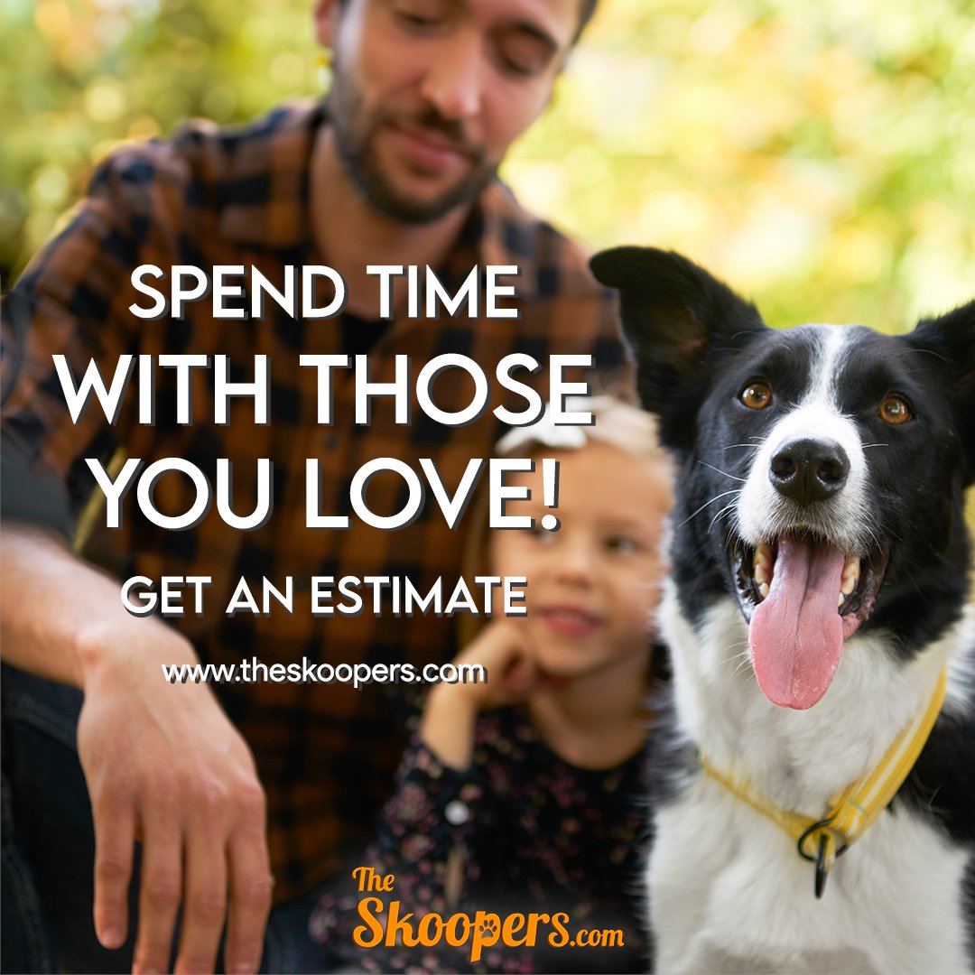A1PScooperServ's tweet photo. We can assist in taking care of them as we 
are aware that they are a member of the family. 
Request a Free Estimate! https://t.co/jmvemt3q2n
.
.
.
.
.
#theskoopers #dogs #happyowner❤️ 
#happydogowner🐾 #puppydog #scoopservice 
#garden https://t.co/JP6vhZFWv0