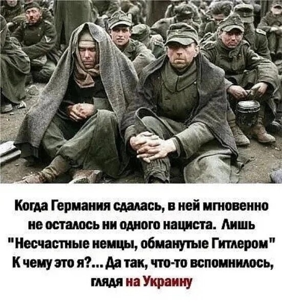 Temo Meskhi (@temomeskhi) on Twitter photo 