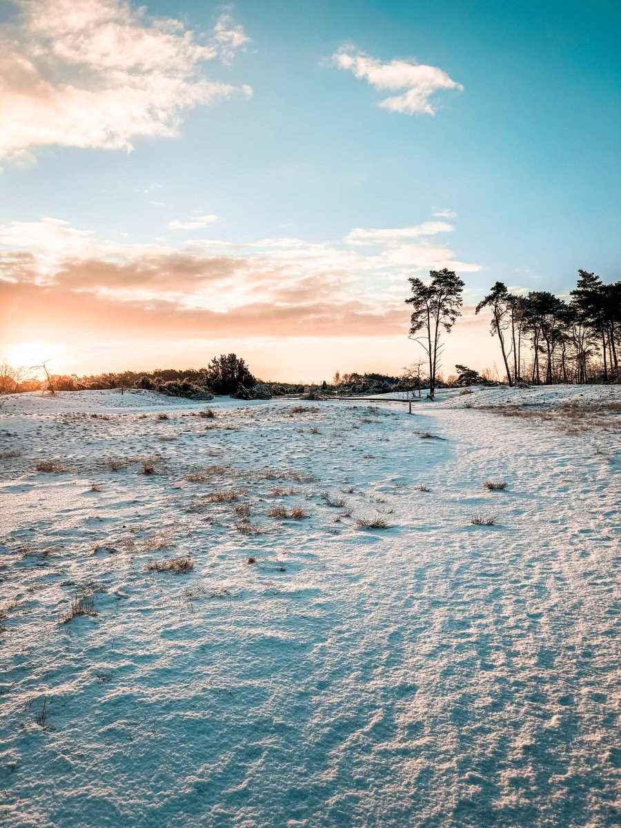 Weekend naar de sneeuw: Dichterbij dan je denkt. 😋

👉 beerzebulten.nl/last-minute

#beerze #ommen #overijssel #vechtdal #sneeuw