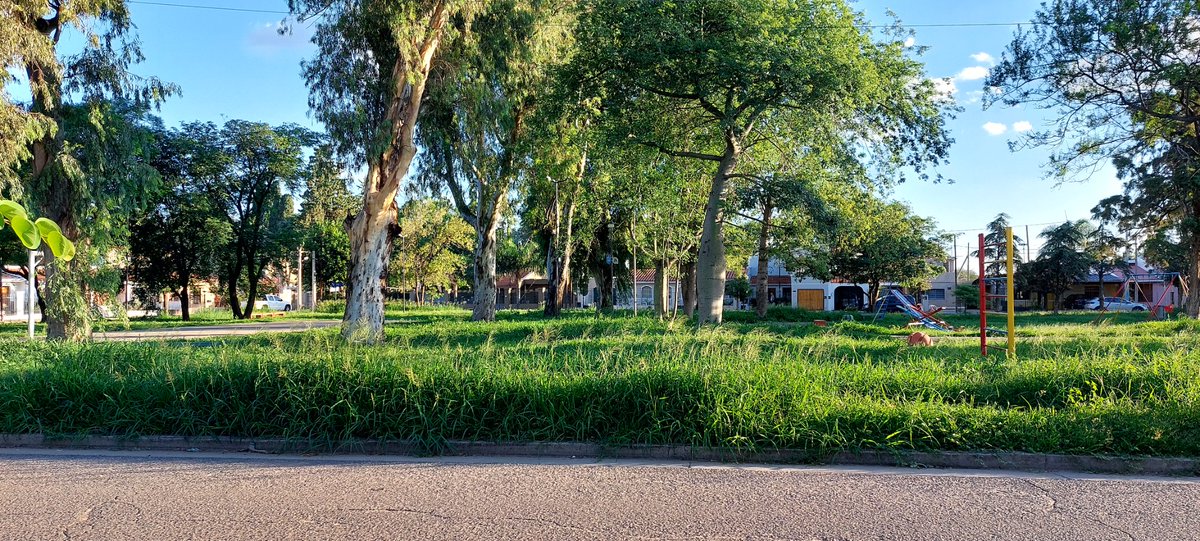 holajfernandez's tweet photo. #CordobaCapital Donde estan #CentrosOperativos y @MuniCba q no responden? Plaza de Villa Claret, abandonada. Reclamo 5574742 del 29/12 por césped no cortado y Reclamo 5619963 por Plaza Apagada. Vergüenza. https://t.co/nFpOcQzXQy