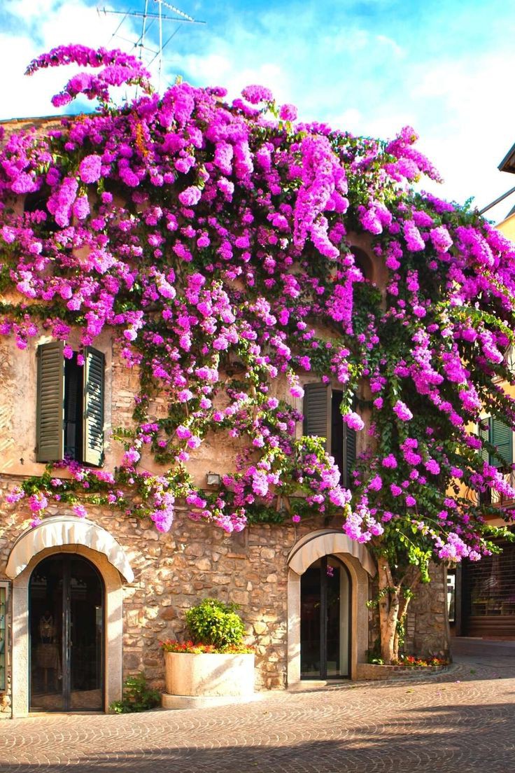 💜🍃 Sirmione Lake Garda, Italy 🇮🇹 💜🍃 . 💜🍃 Happy Friday 💜🍃