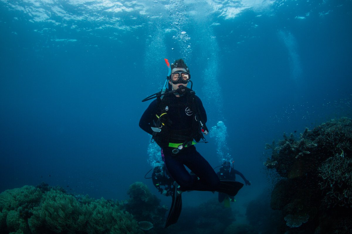 Thanks for the report, just fixed! Was out diving the Great Barrier Reef overnight & didn't have cell service. Should be fixed, restarting servers now! 🤿