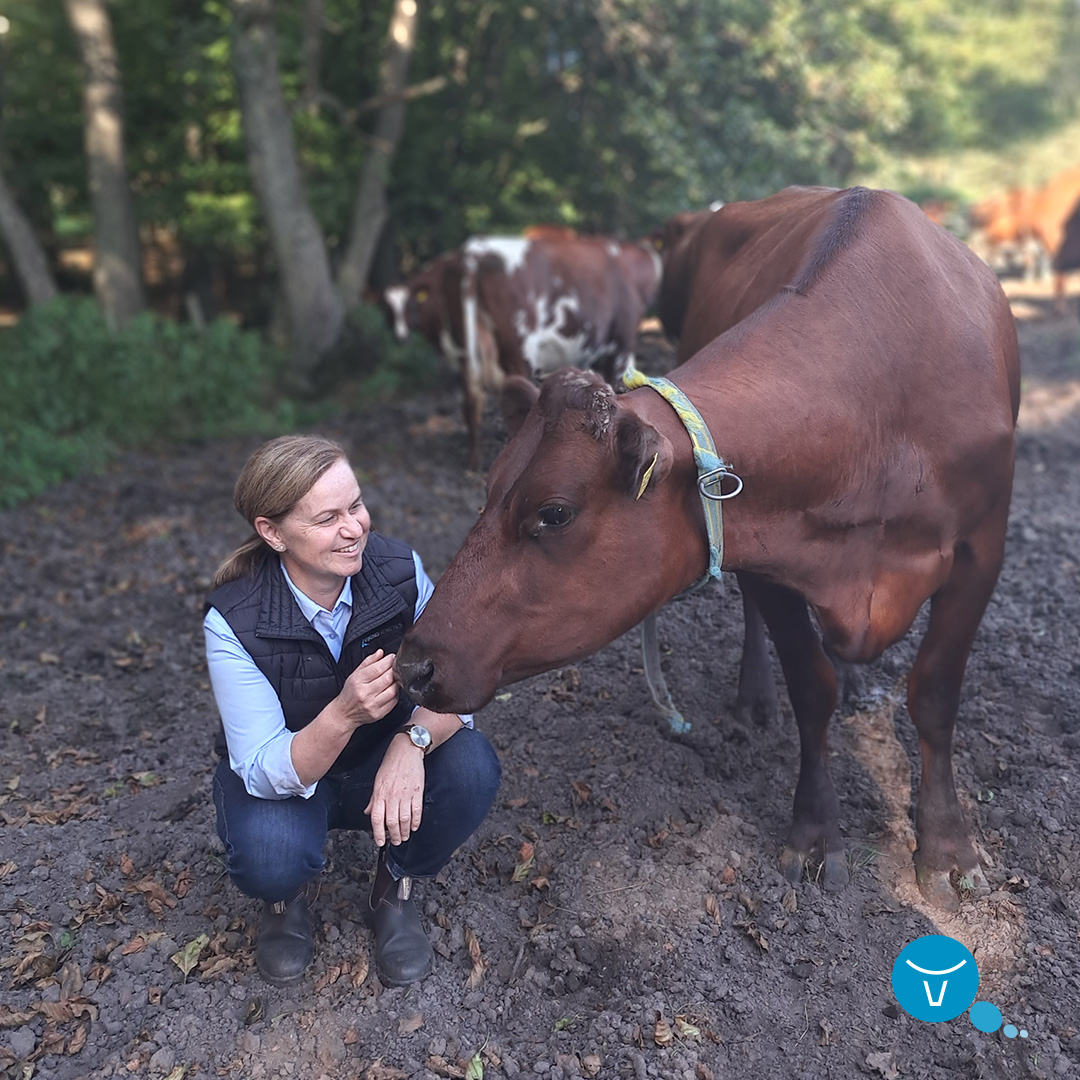 VikingGenetics tweet media