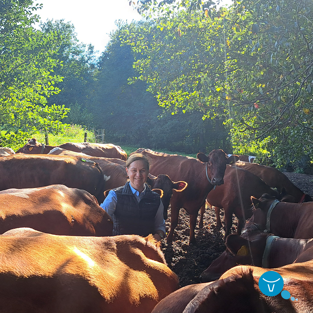 As Product Manager for VikingRed, Camilla’s mission is to make VikingRed a profitable choice worldwide. A profitable cow is not just about milk yield. “It’s about all profit-driving traits: health, fertility and feed efficiency."

Read full story: okt.to/GeHQ6F
