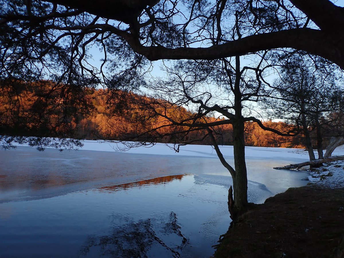 Fabulous swim with the ice last night, read my blog and latest poem ❤️🔨🥶🏊‍♀️

ramblings-of-a-swimming-poet.co.uk/blog/1636542_i…

#iceswim #poetry #wildswimming #poetrycommunity #poetrytwitter