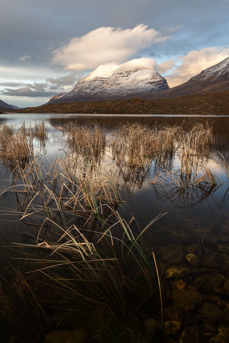 Sam Bose tweet media