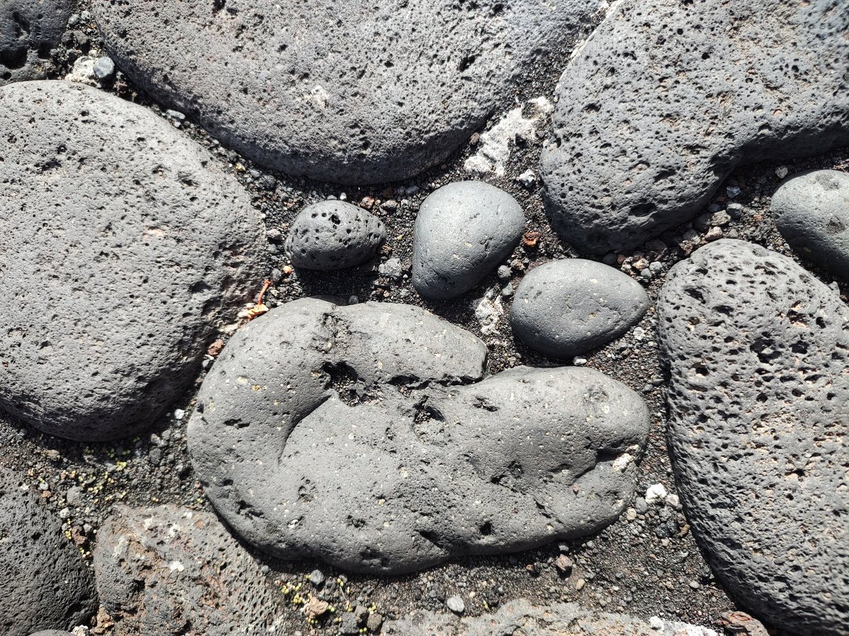 Yesterday was #VolcanoThursday 🙀 Here a #paw print made of #basalt pebbles. That's proper #PavementGeology 😹 We found it during #hedgewatch on #LaPalma😻 The small green & reddish spots in the #rock's are #olivine

#PebbleOfTheDay #mineral #volcano #geology #geologywithcats