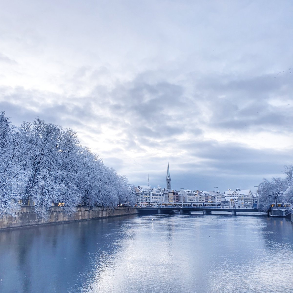 Martina Cihova tweet media