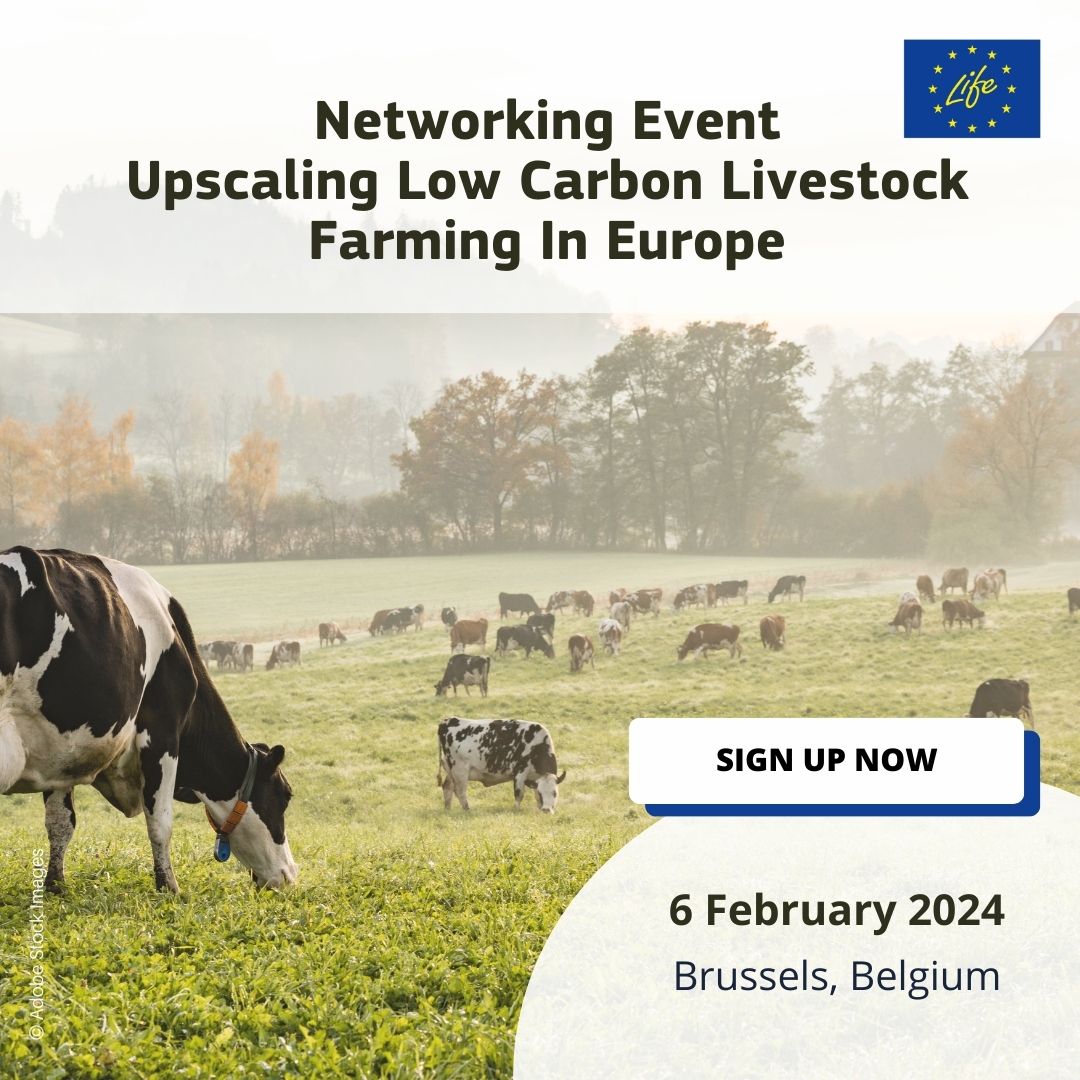 LIFE Programme tweet media