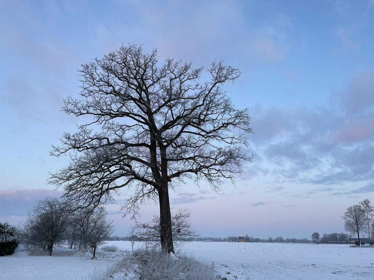 anjoosten92's tweet photo. Bocholt 8u30 
#vrtweer https://t.co/FLVD1XNOOb