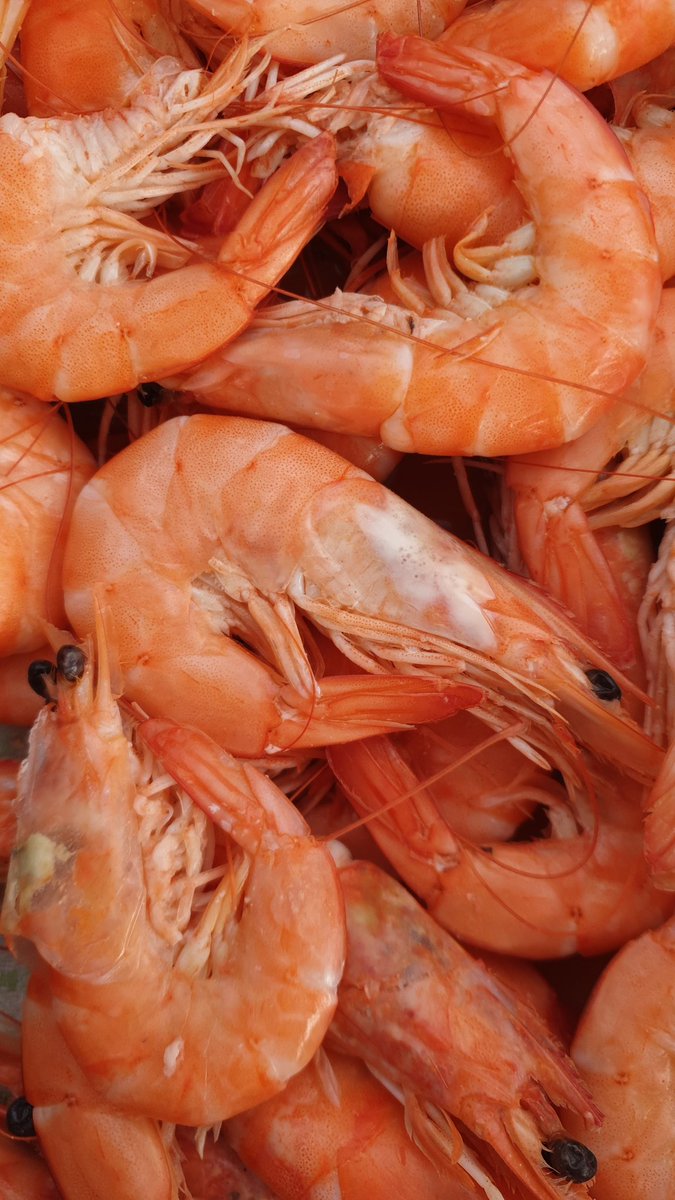 Great selection of line caught fresh fish shell fish and smoked fish from fishmanwithadifference@hotmail.co.uk at The Memorial Hall, Silver Street, Wrington open 8am-12 noon every Friday