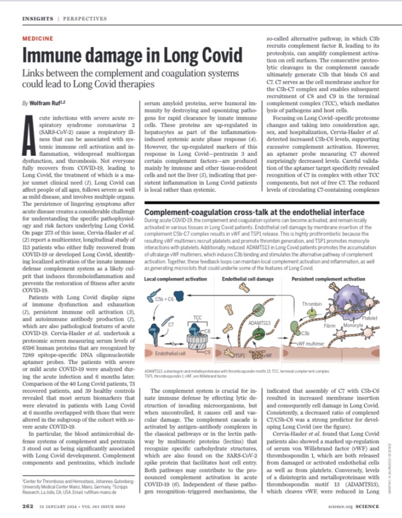 Se identifica un potencial biomarcador en sangre para detectar la Long COVID (COVID19 persistente). Una desregulación en las proteínas del sistema del complemento (sistema inmunitario), coagulación e inflamación se relacionan con la activación del virus. science.org/doi/10.1126/sc…