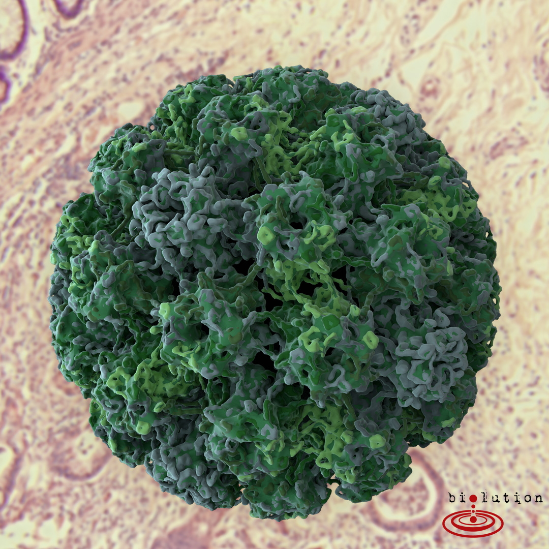 January is Cervical Cancer Awareness Month
Human papillomavirus (HPV) is a DNA virus that causes about 99.7% of cervical cancer.
Full article: loom.ly/Xe04SKc
📢 Share this post, and raise awareness for prevention. 💪
#CCAM #CervicalCancerAwarenessMonth #CCAMTN #scicomm