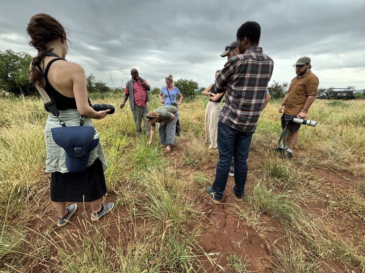 kathelse's tweet photo. Currently out with a team of scientists in Kenya exploring the role of Shared Landscapes in disease transmission with @Charisenns and others @LydiaBeckerIII https://t.co/3m2stvkg5p