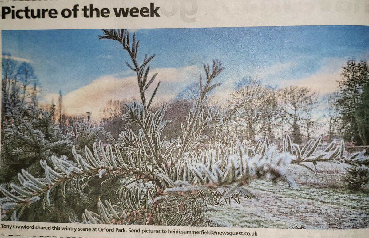 Thank you to <a href="/warringtonnews/">Warrington Guardian</a> for publishing 1 of my winter photos of #Orfordpark #winter #NaturePhotography #nature #coldweather <a href="/BBCWinterwatch/">BBC Winterwatch</a>