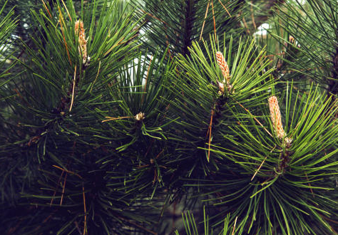 Nouvelles maisons a vendre dans la zone de Torrevieja avec des plages de sable fin.
Des contraintes lier a les demandes de formulaires?
Avec nous vous gagnerez du temps de l'argent avec un suivis par des professionnel de confiance.

i.mtr.cool/tbrbuellxa