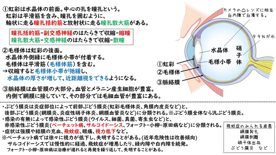 YaMato39830334's tweet photo. 第31回でこなかったんだから第32回はくるだろうという期待を込めて、性懲りもなく眼置いておきます🐰👀ﾊﾟｯﾁﾘ https://t.co/q4jpMlRbx4