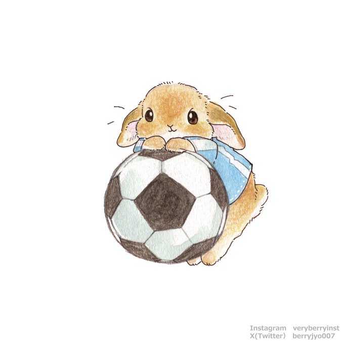 「カメラ目線 サッカーボール」のTwitter画像/イラスト(新着)