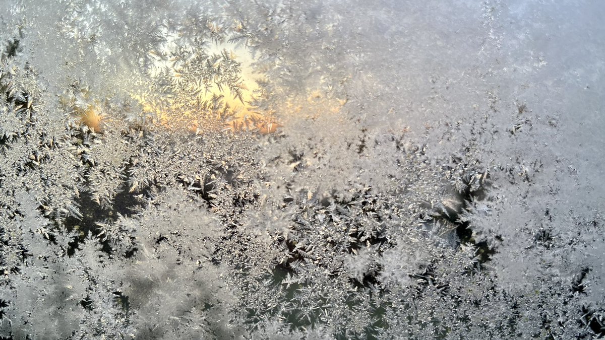 Abrie (@drabrietheron) on Twitter photo Good morning! 🥶 Good morning! 🥶