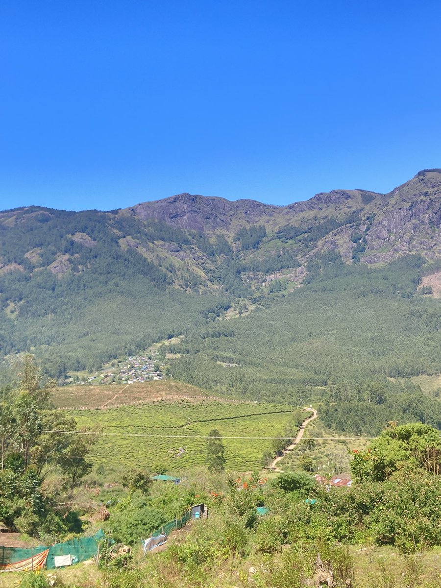 kaushal1828's tweet photo. Day 3 of mapping the ladslides in Munnar hills!
#Munnarlandslide #GEOMLab #Fieldwork
#Kerala #RGBLiDAR https://t.co/sRNoAEa3nL