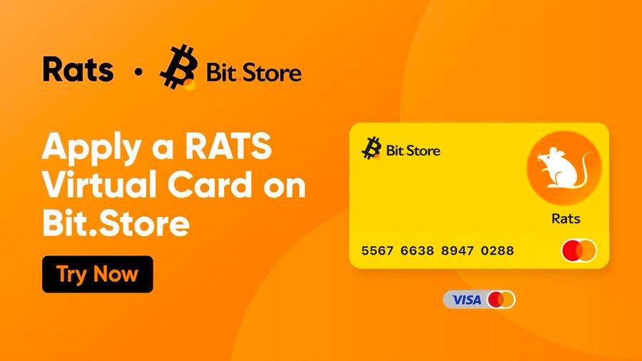 CoinBuider's tweet photo. #RATS x #bitstor x #VISA https://t.co/orNqIkGi1v