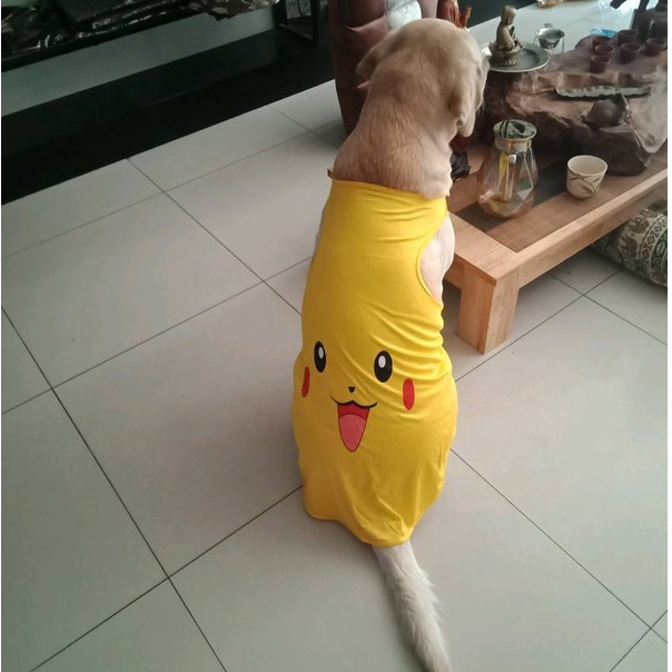 Dogson_X's tweet photo. Áo cho chó lớn ngộ nghĩnh, đáng iu cute 😍
Link mua : https://t.co/f28hKGaXtQ https://t.co/SCNy7SMm6a