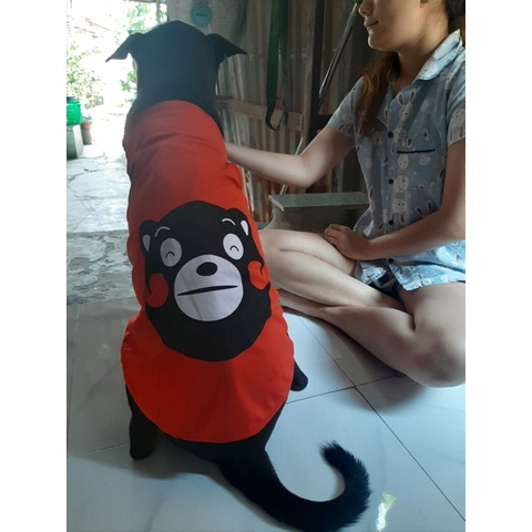 Dogson_X's tweet photo. Áo cho chó lớn ngộ nghĩnh, đáng iu cute 😍
Link mua : https://t.co/f28hKGaXtQ https://t.co/SCNy7SMm6a