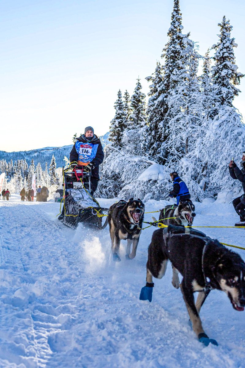 El pasado 6 de enero, pudimos ver a nuestro deportista patrocinado, Bendik Medrud, en el evento MUSH Synnfjell de Noruega. En Natural Greatness celebramos la perseverancia y el respeto por la naturaleza. 🌲🛷 #naturalgreatness #alimentacionnatural #patrocinio