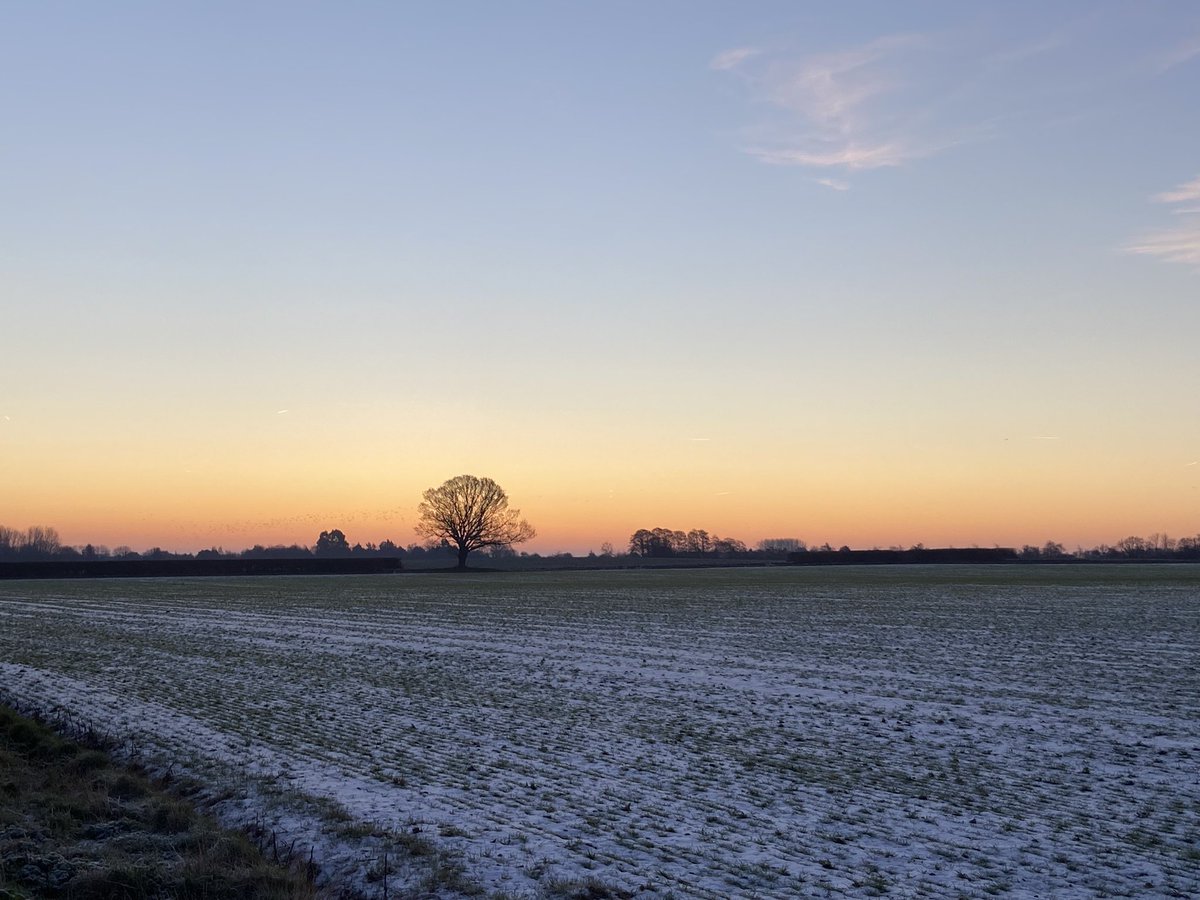 Charlotte Watlow tweet media