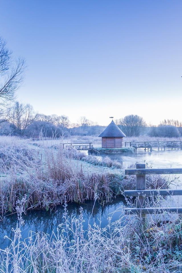 GM 🥶 Anyone fancy a winter walk ? 📍 Longstock Hampshire