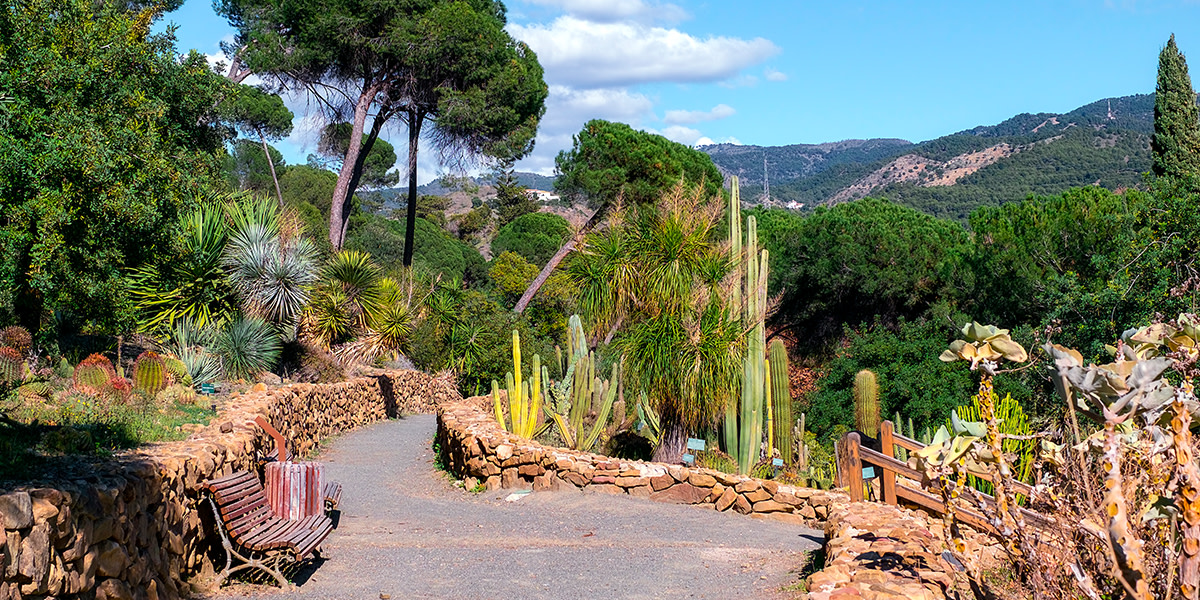 Of course, you can't leave without visiting one of our favourite spots in #Málaga... 😍

Here is the #JardíndelaConcepción. ⬇️ Walk around this botanical garden and discover palms, bamboos, aquatic plants... 😮

👉 bit.ly/3MnUcyg

#VisitSpain #SpainUrban <a href="/viveandalucia/">Vive Andalucía</a>