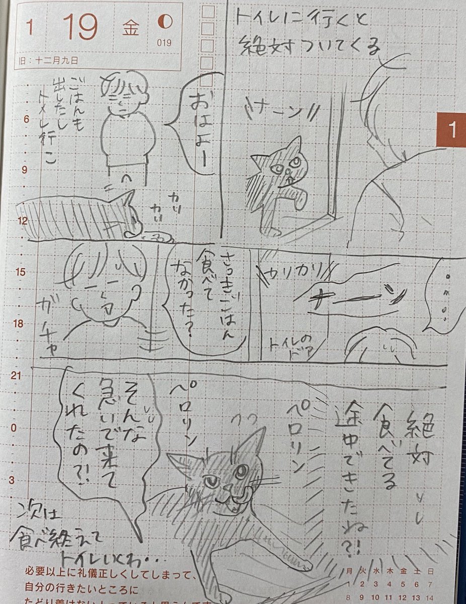 日記 お食事中の方は注意 