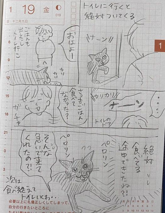 日記 お食事中の方は注意 