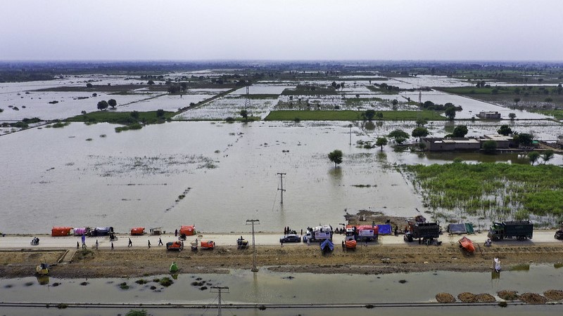 EVENT: Looking ahead at 2024: what's in store for climate and nature? --&gt; iied.org/looking-ahead-…

Join the first IIED Debates of 2024, on 30 January, online or in-person in London, to reflect on the major outcomes from #COP28 and explore the key moments to look out for in 2024.