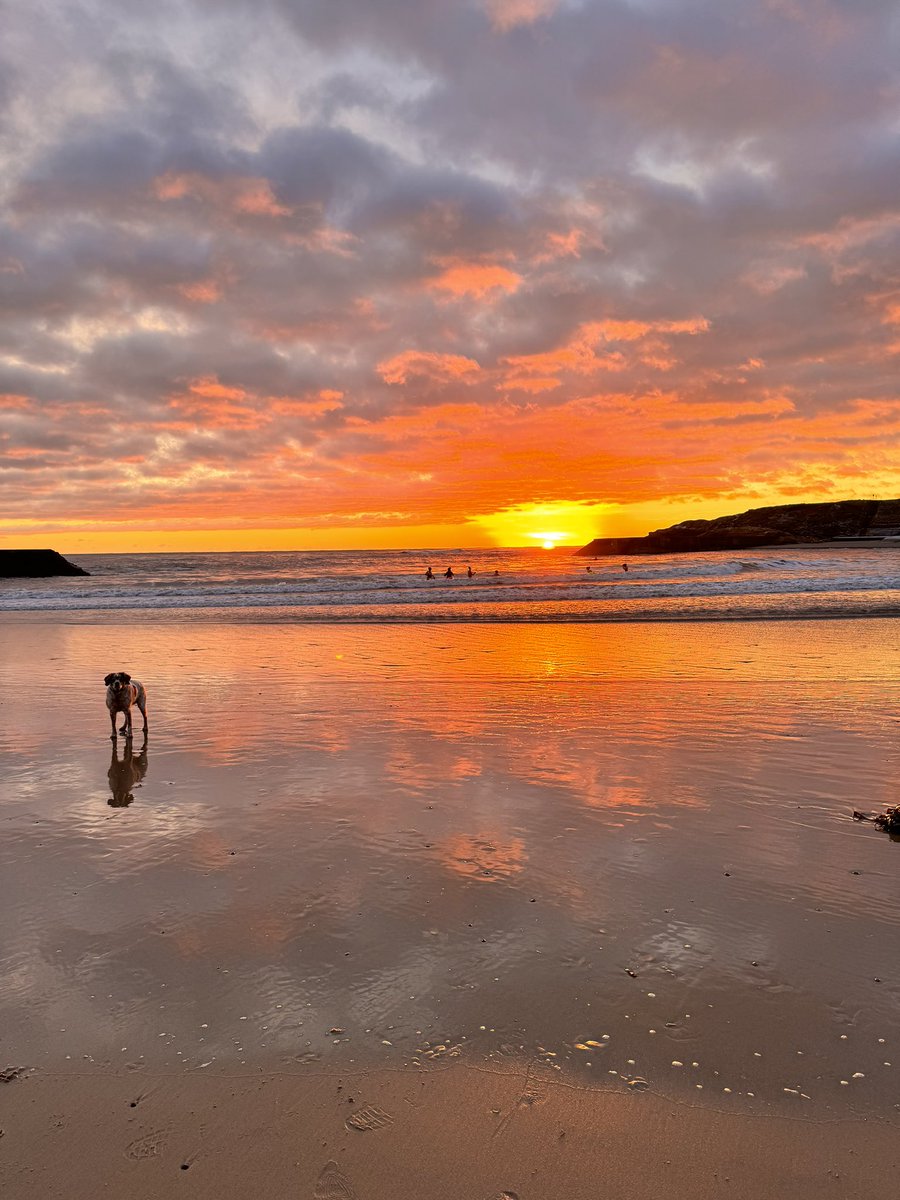Beautiful winter sunrise on Cullercoats this morning