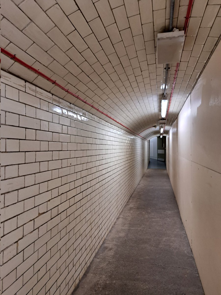 Yesterday I learned there's an underground tunnel beneath Gower Street connecting the Anatomy dept in the main UCL campus with the redbrick Cruciform building built in 1906 as University College Hospital (replacing the original hospital building of 1834).