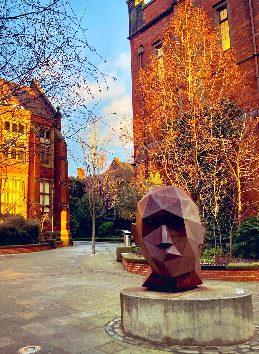 Lovely light on campus this morning @UniofNewcastle