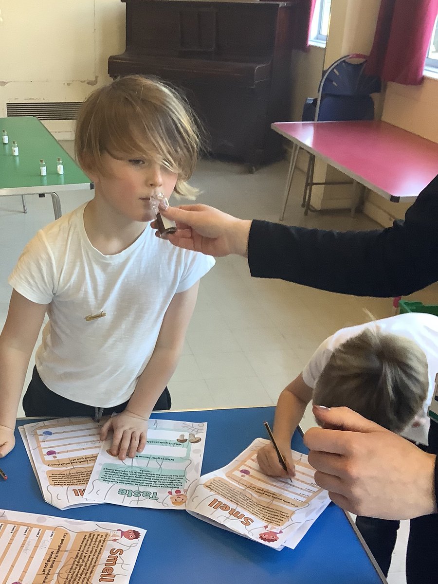 Year 4 had a fantastic time with @thessp_er exploring their senses of smell and taste! Thank you for another super afternoon! 🌟