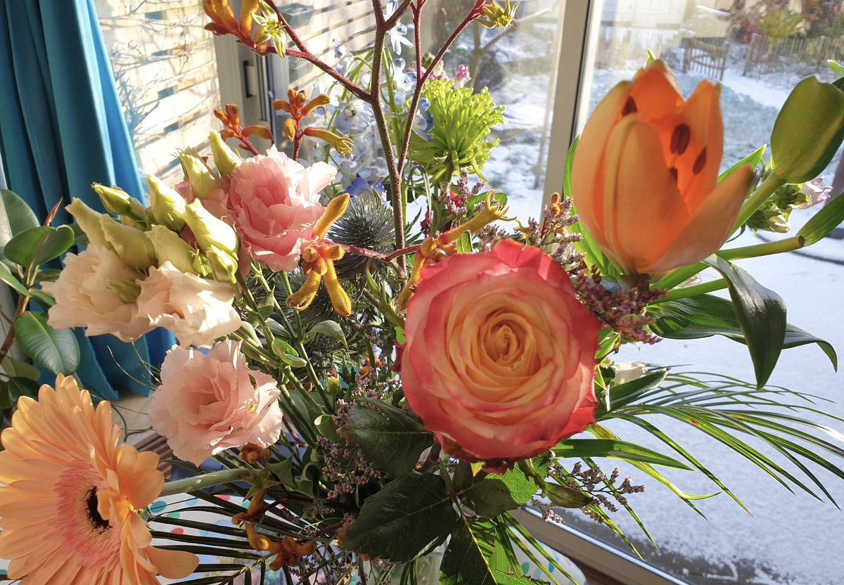 We were happily surprised to find a beautiful bouquet 💐 in our office! A very nice gesture from our alumnu Auke Vlonk to thank us for introducing high-potential #students to <a href="/VerusNL/">Verus</a>, who have now become #employees