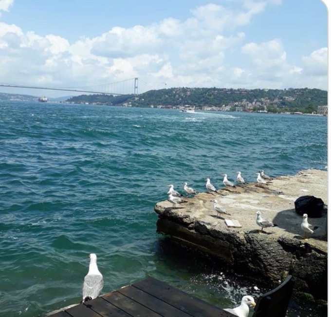 Kuşlar da kaderle uçar🕊

Cahit Zarifoğlu

⠀ ⠀ ོ⠀⠀⠀ོ⠀ ⠀ོ⠀⠀⠀⠀ ⠀ ⠀ོ⠀⠀⠀⠀⠀⠀⠀⠀ ⠀ ⠀ ⠀⠀ོ ⠀⠀⠀⠀ ⠀ ོ 

#Cuma