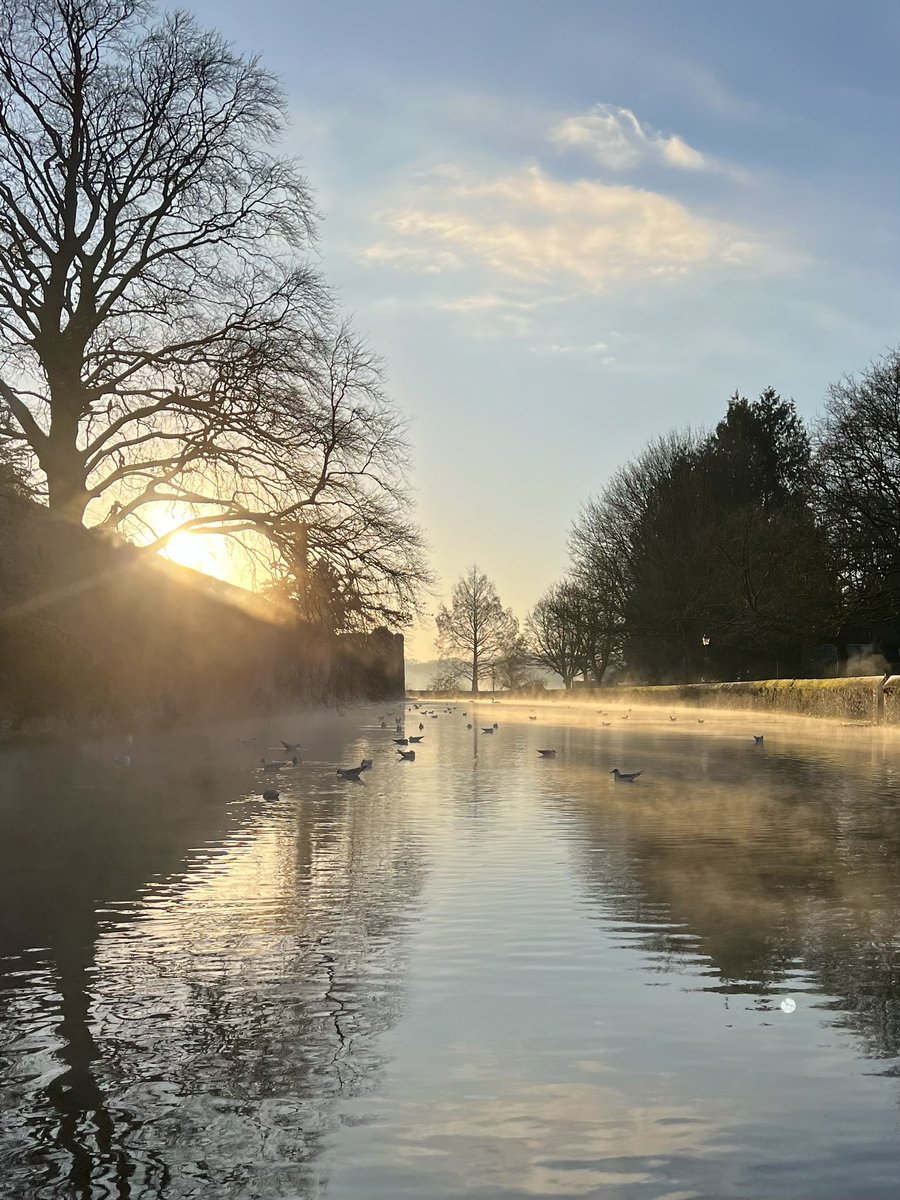 Cold but beautiful start to the day 🧊☀️ 
#wells #bishopspalace #somerset #wintermorning #january2024 #bishopspalacemoat #wintersun #harrisandharris