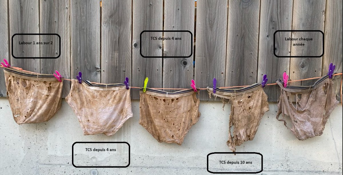 En ce début d’année 2024, au <a href="/MoisdonNegoce/">Moisdon Negoce</a> il était l’heure de se retrouver avec nos quatre agriculteurs dans chacune des parcelles de blé tendre d’hiver où était enterré depuis le 10 novembre 2023 des SLIPS en coton pour observer l’activité biologique du sol par la dégradation