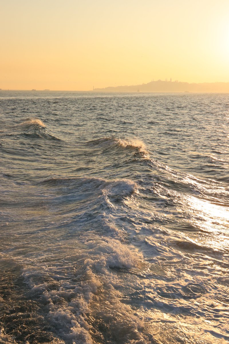 o nível da renda na associação é avaliada no dia
os membros VIP3 podem obter 60 pedidos com um comissão de 0,20% no mesmo dia e uma renda diária de 55-60reais;
Membros VIP4 podem ganhar 60 no mesmo dia. A comissão única é de 0,23% e a renda diária é de 125-327 reais;