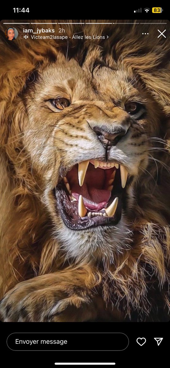 sowastou10's tweet photo. Les lions de la teranga 🇸🇳🦁🥰🥰
Faites-nous rêver aujourd’hui 
Tout le peuple est derrière vous 
Manko wouti ndam li 🥰👍 https://t.co/0abyc88uEe