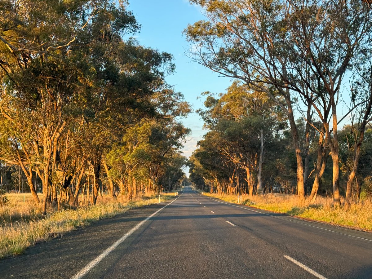 Love this golden hour pic of the road towards Maryborough near Daisy Hill, Vic